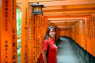 靖国神社涂鸦男子遭日本公审，尊重与理解的双重意义