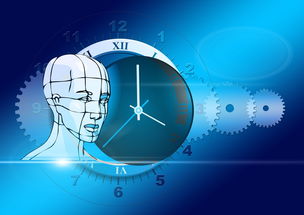 播放科技生活,探索数字时代下的新生活方式 第1张 播放科技生活,探索数字时代下的新生活方式 第1张