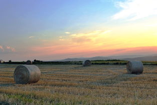 科技如何推动农业革命,现代科技在农业领域的应用实例 第1张 科技如何推动农业革命,现代科技在农业领域的应用实例 第1张