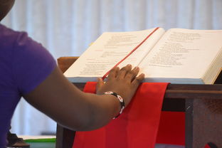 探索河南科技大学大学英语三慕课,答案背后的学习之道 第1张 探索河南科技大学大学英语三慕课,答案背后的学习之道 第1张