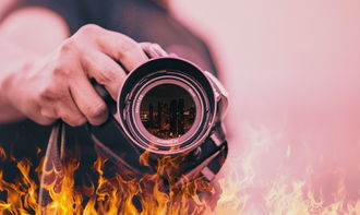 金融科技应用，就业前景的璀璨星辰